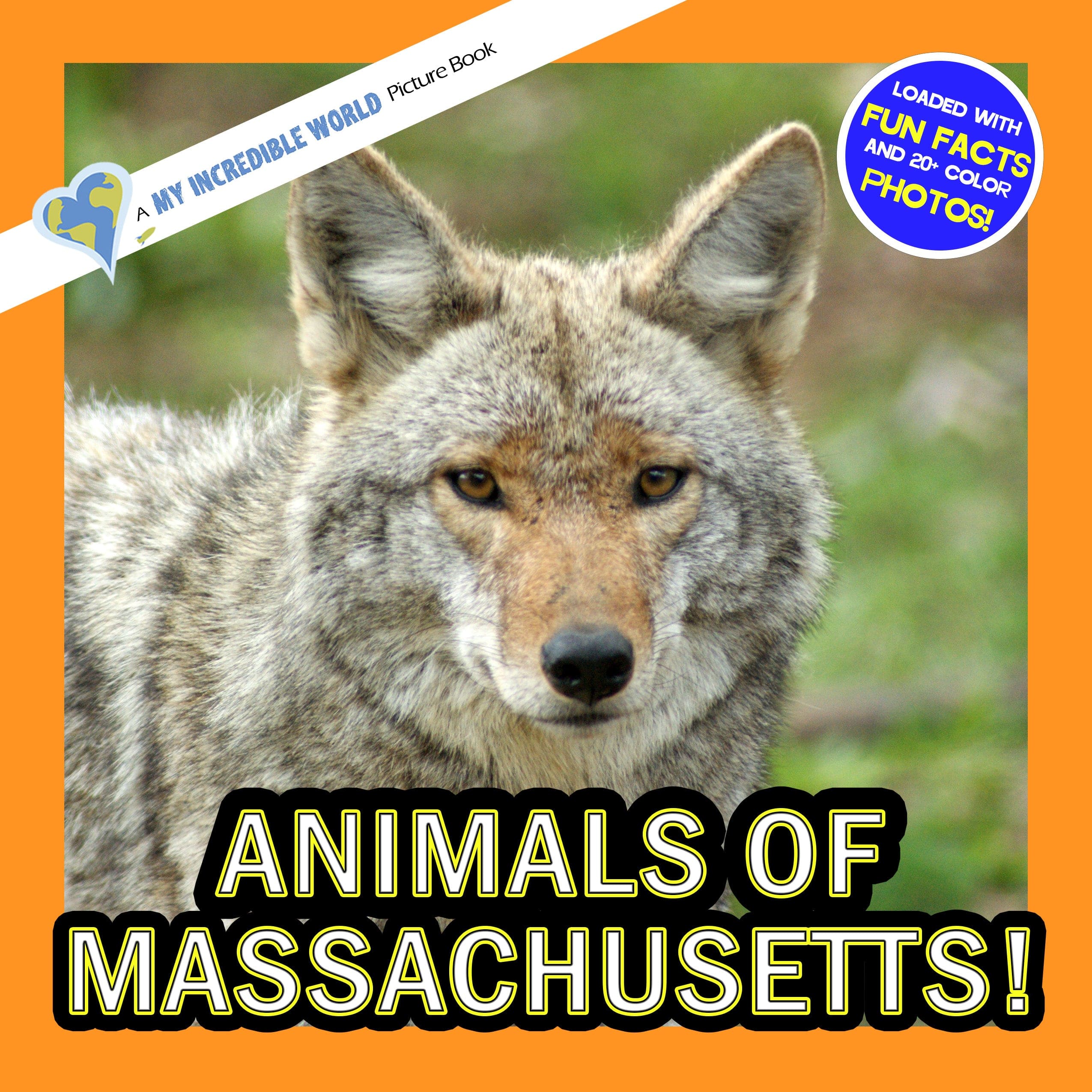 Animals of Massachusetts! A My Incredible World Picture Book for Children
